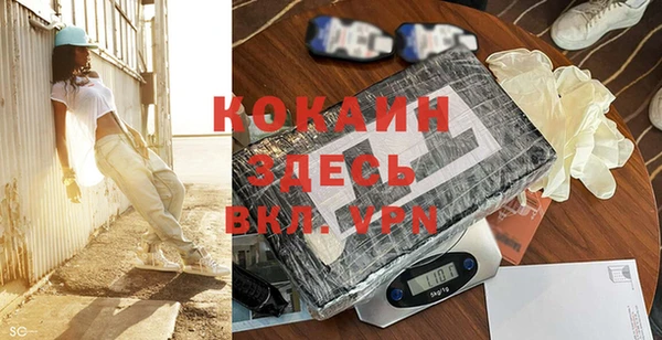 гидра Надым