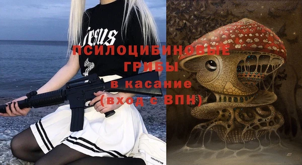 a pvp Михайлов