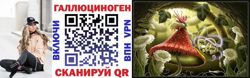 хочу   Мамоново  Галлюциногенные грибы Cubensis 